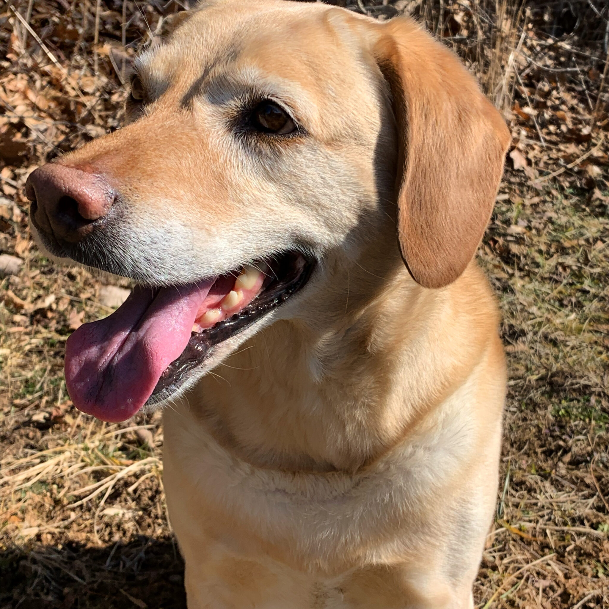 36787477-3311-4608-97FA-AF905227CC76(1)